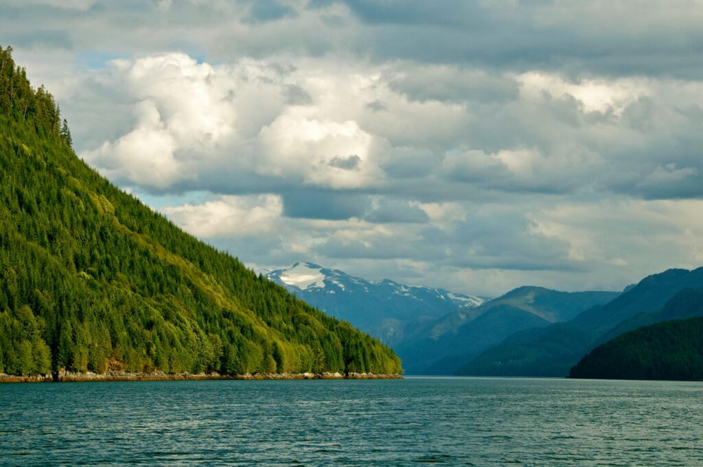 pexels-jack-borno-2159592889-36155134